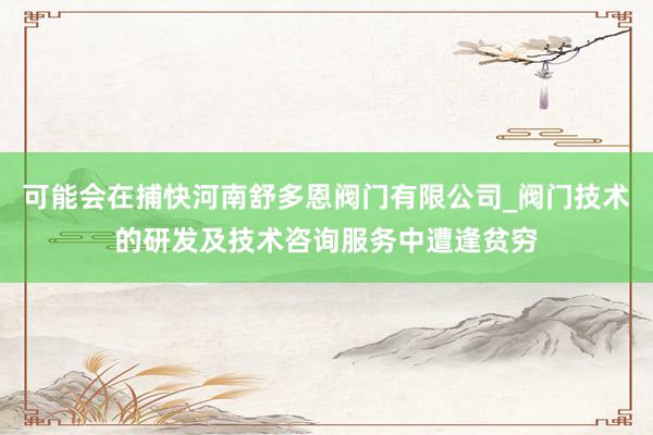 可能会在捕快河南舒多恩阀门有限公司_阀门技术的研发及技术咨询服务中遭逢贫穷